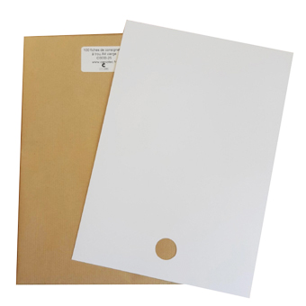 FICHES DE CONSIGNATION A TROU 25MM VIERGE - LOT DE 100