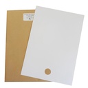 FICHES DE CONSIGNATION A TROU 25MM VIERGE - LOT DE 100
